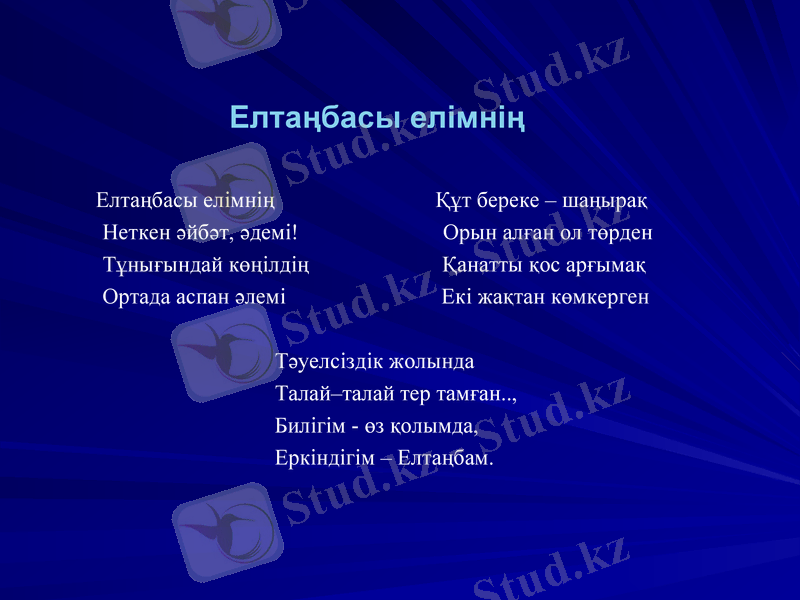 Slide 19