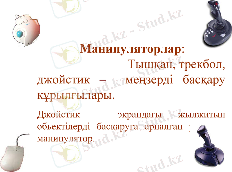 Slide 5