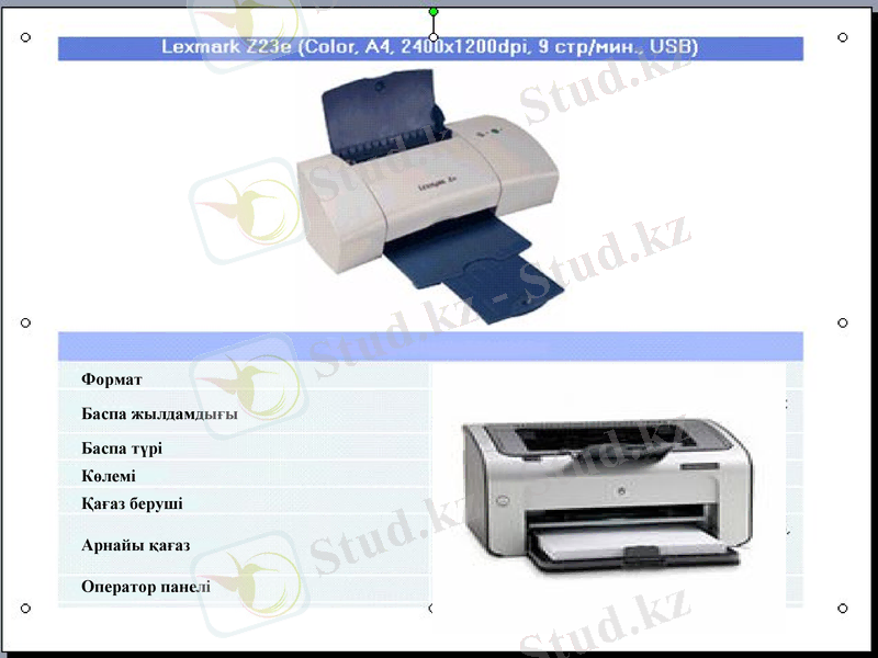 Slide 8