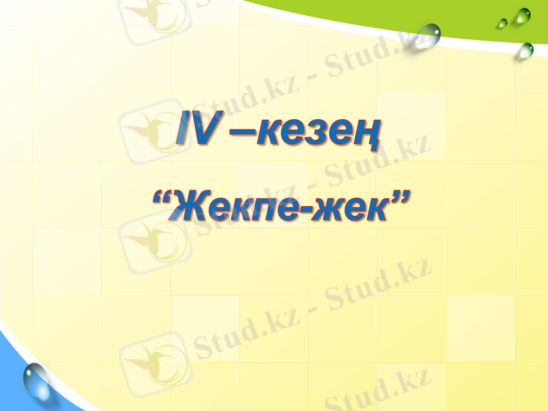 Slide 11