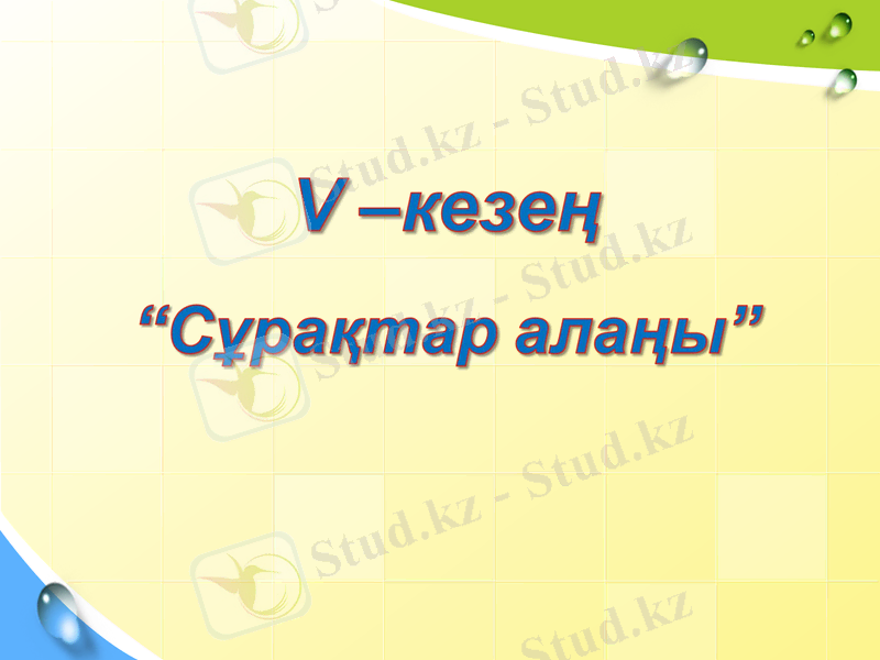 Slide 13