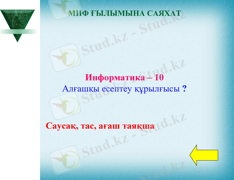 Slide 11