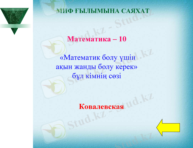Slide 8