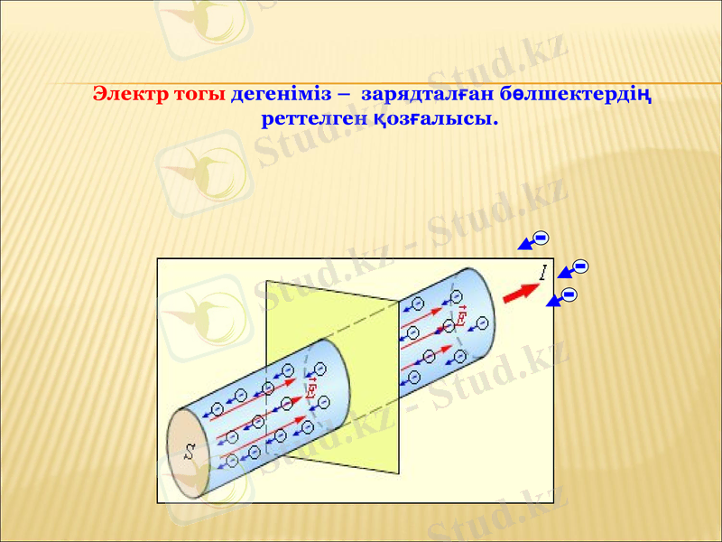Slide 12