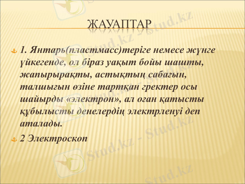 Slide 5