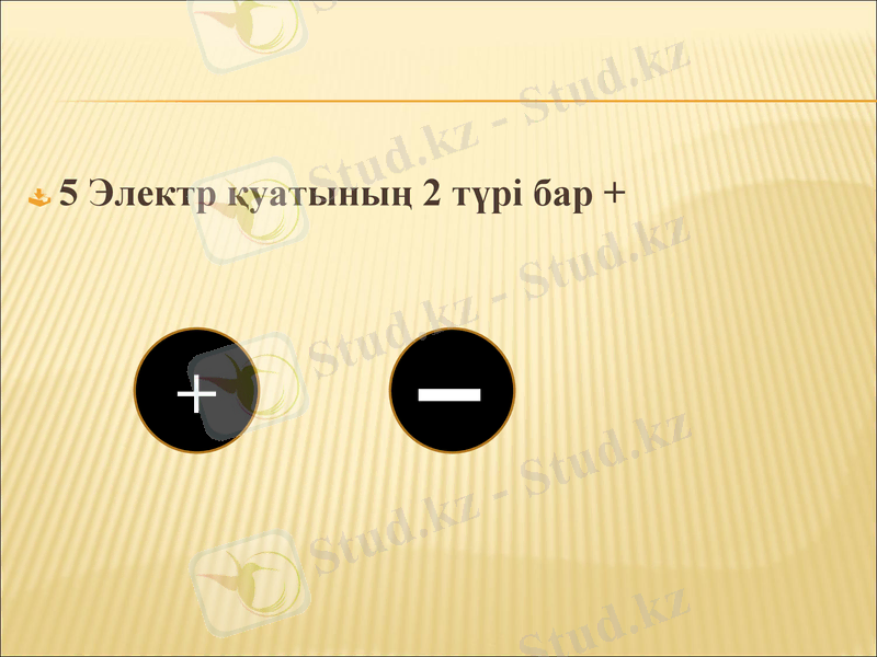 Slide 8