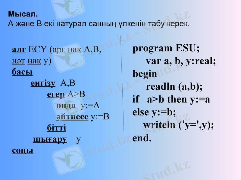 Slide 7