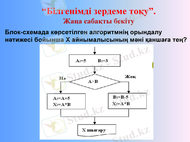 Slide 8