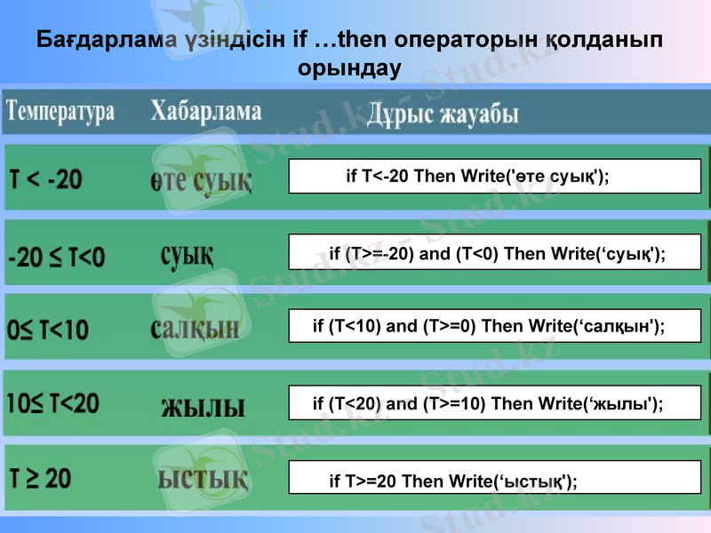 Slide 9