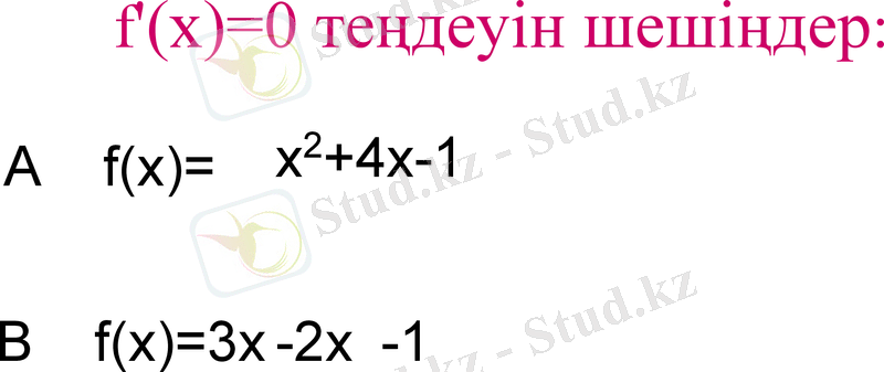 Slide 13