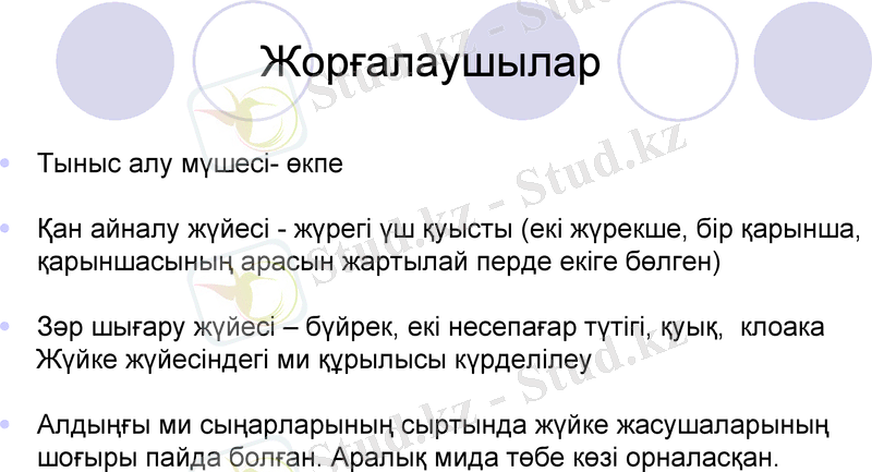 Slide 10