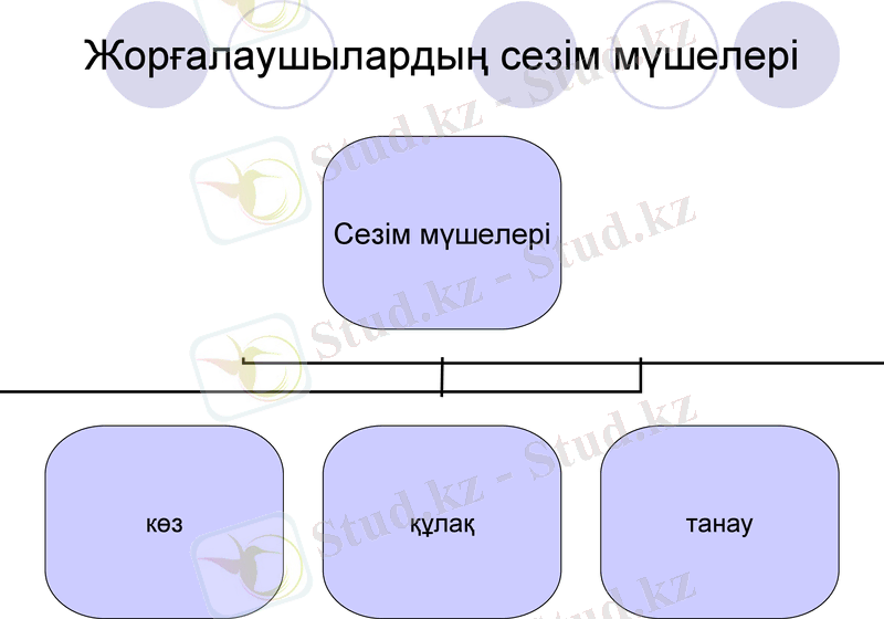 Slide 11