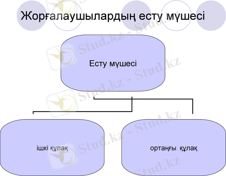 Slide 12