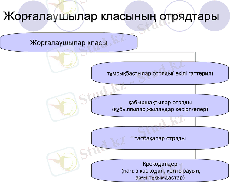 Slide 13