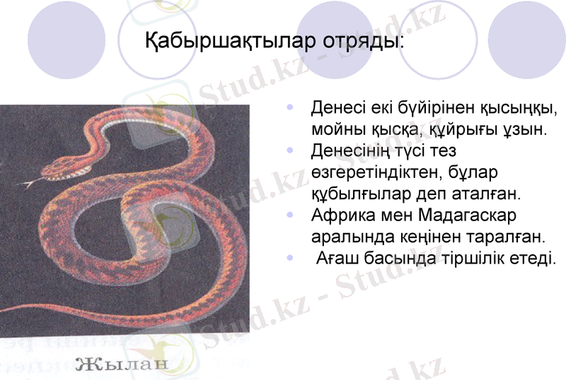 Slide 15