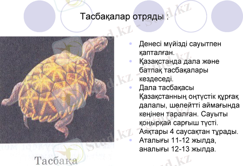 Slide 16