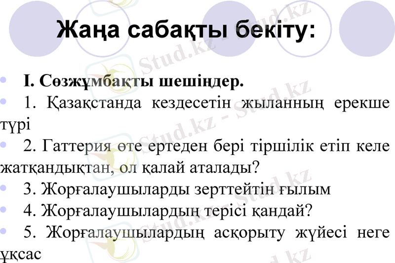 Slide 19