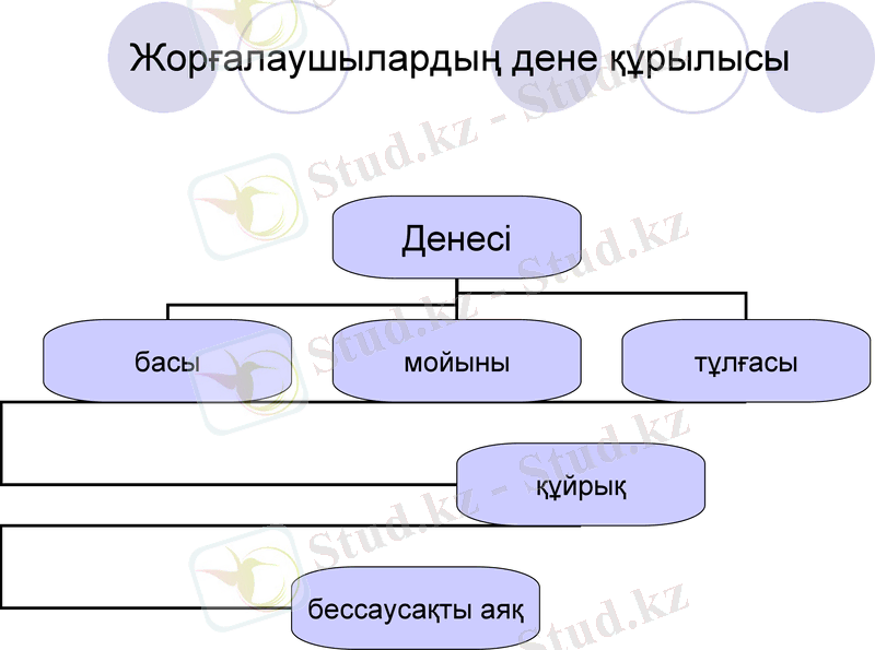 Slide 7