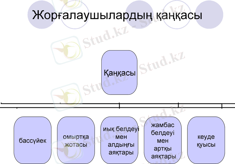 Slide 8