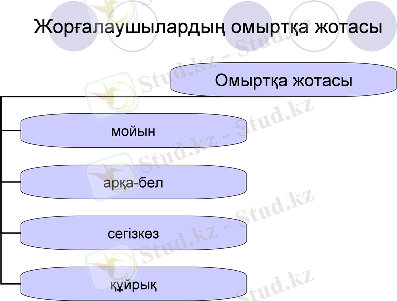Slide 9