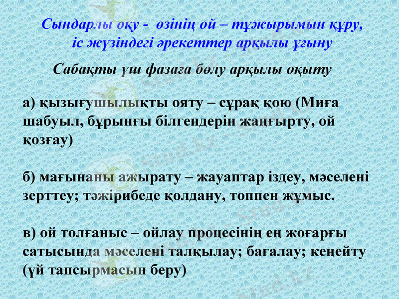 Slide 8