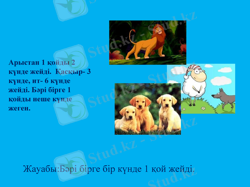 Slide 13