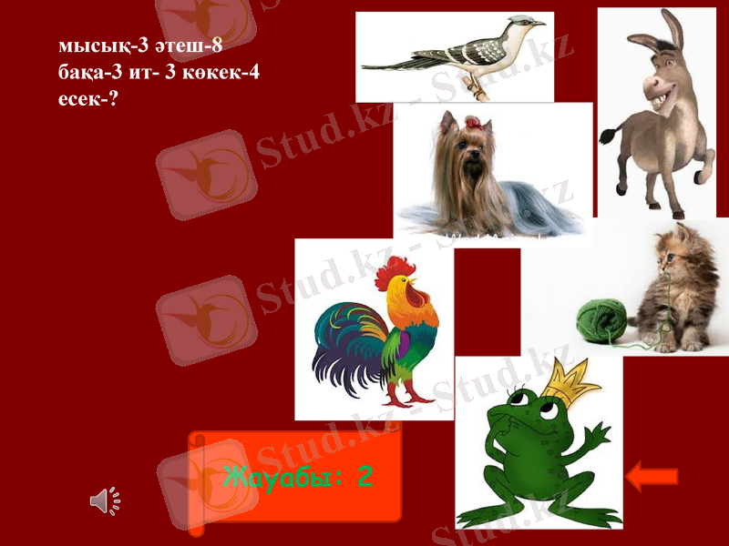 Slide 19