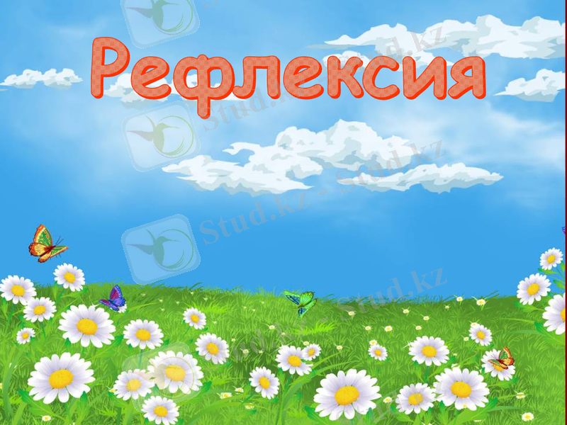 Slide 23