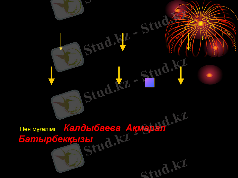 Slide 11