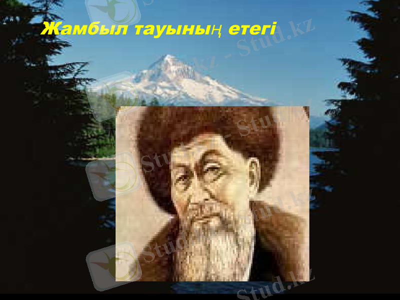 Slide 3