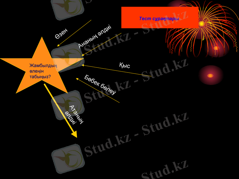 Slide 7