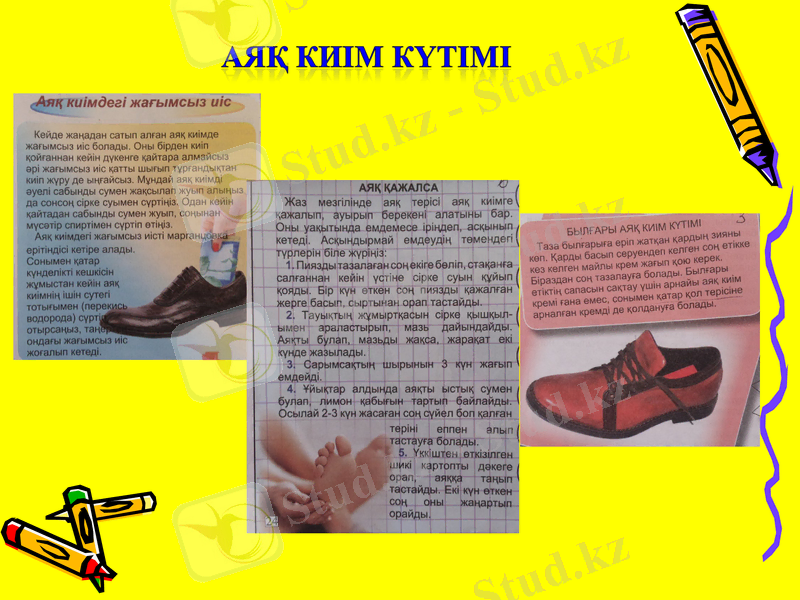 Slide 8