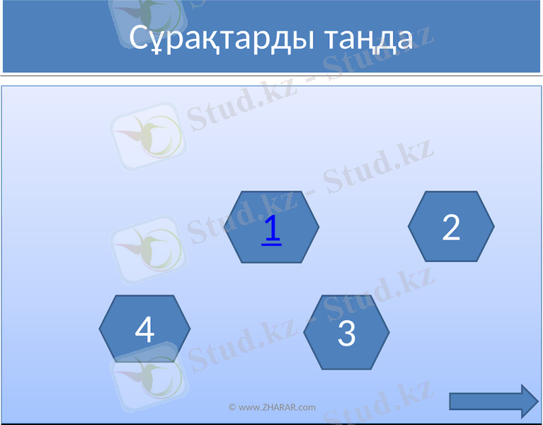 Slide 11