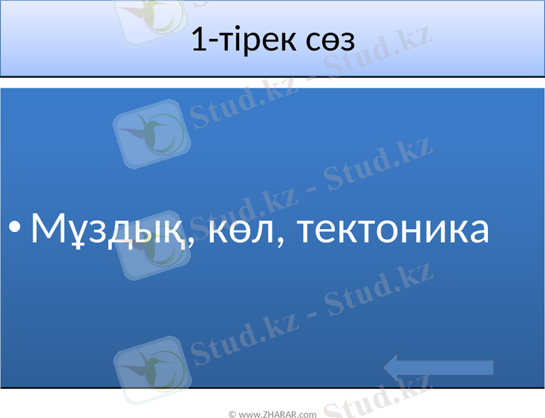 Slide 12