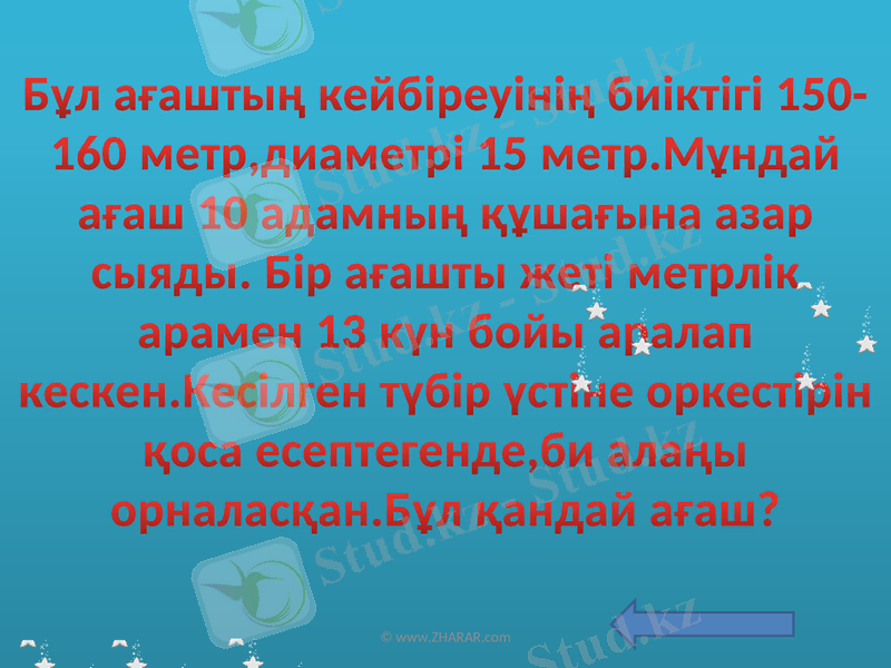 Slide 6