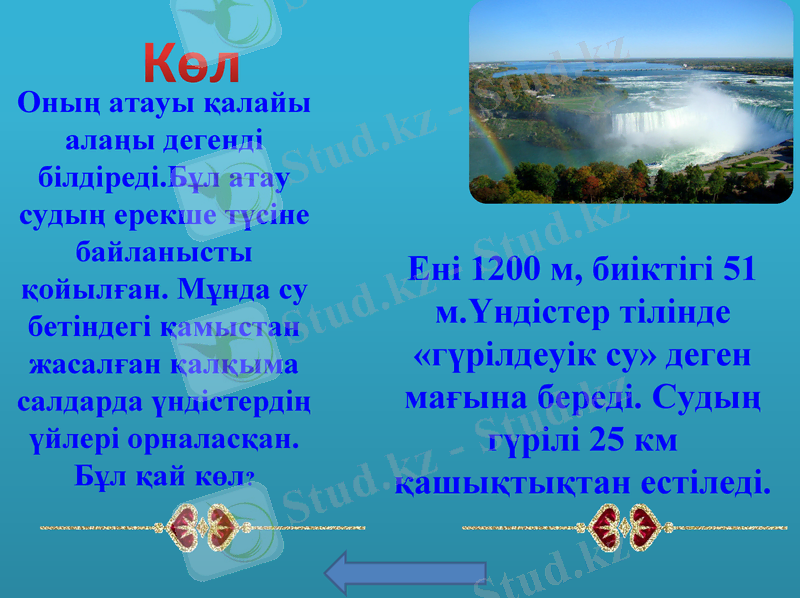 Slide 8