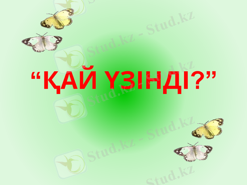 Slide 13