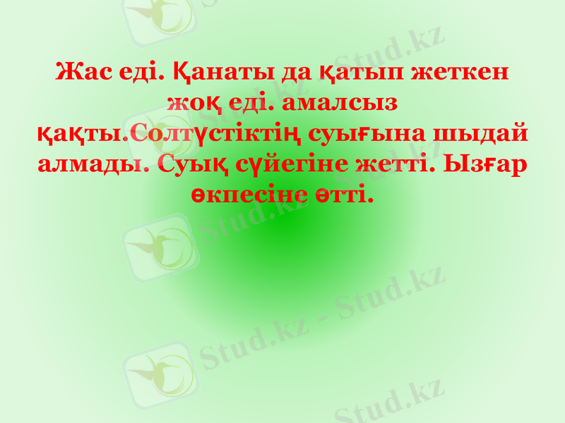 Slide 14