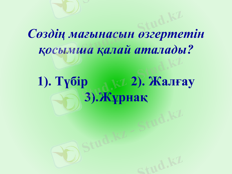 Slide 8