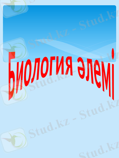 Slide 12
