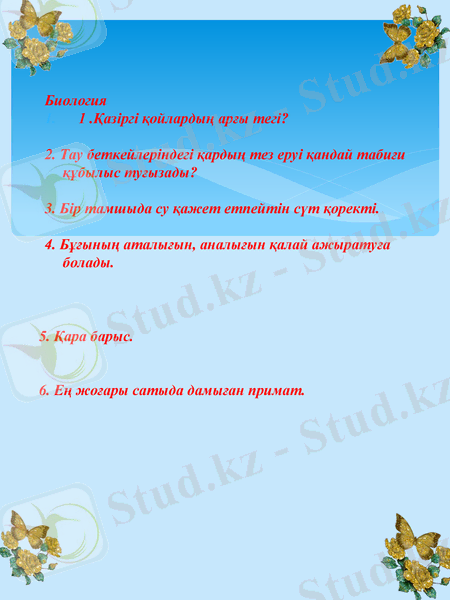 Slide 13