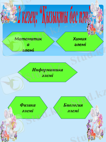 Slide 5