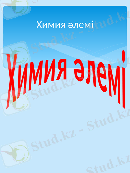 Slide 8