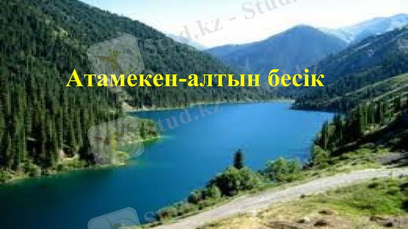 Slide 1