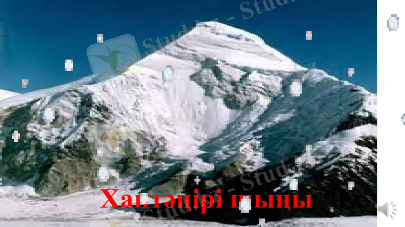Slide 16