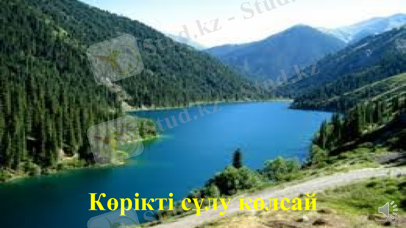 Slide 17