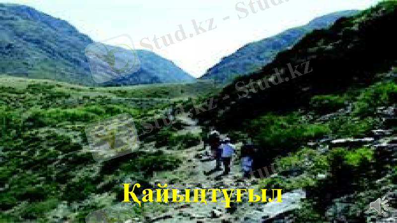 Slide 21