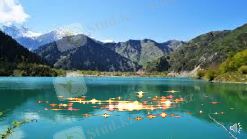 Slide 22