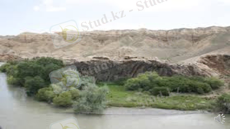 Slide 24