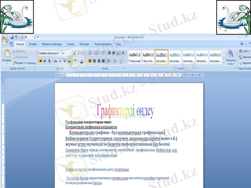 Slide 13